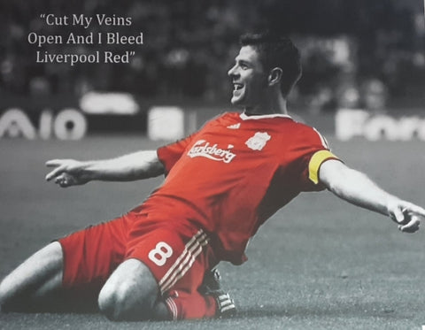 Steven Gerrard Canvas